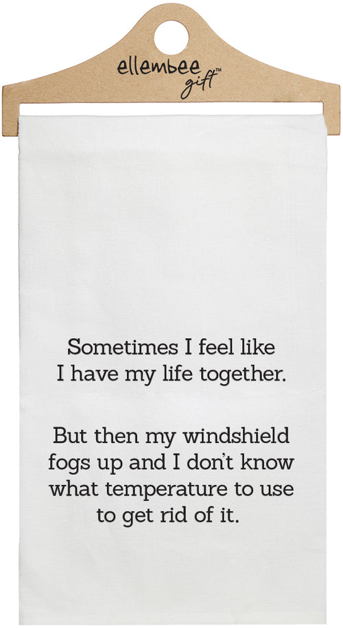 Sometimes I feel like I have my life together.  But then my windshield fogs up and I don't know what temperature to use to get rid of it - white kitchen tea towel