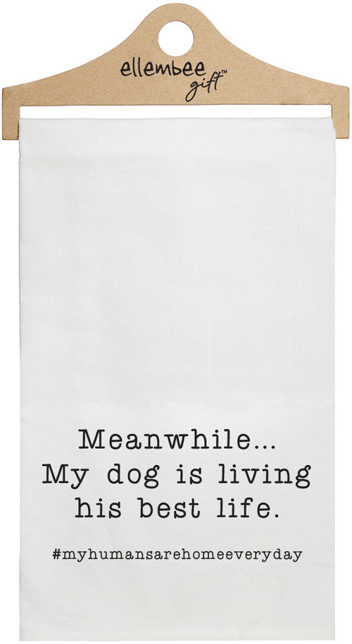 Meanwhile, my dog is living his best life - white kitchen tea towel